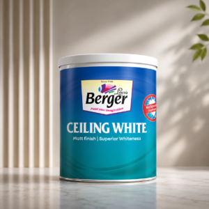 Ceiling White