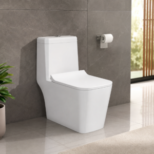 LEXONA One Piece Water Closet.